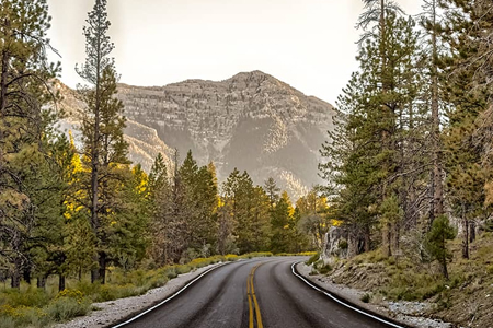 Mount Charleston Tour